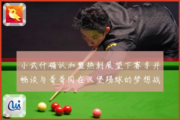 小武什确认加盟热刺展望下赛季并畅谈与哥哥同在汉堡踢球的梦想战术观察